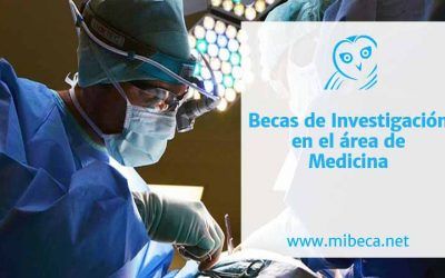 5 opciones para becas doctorales en medicina